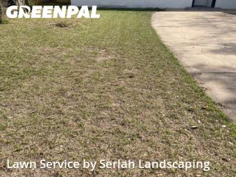 Grass Cut nearby Orlando, FL, 