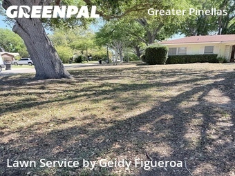 Yard Mowing nearby Saint Petersburg, FL, 