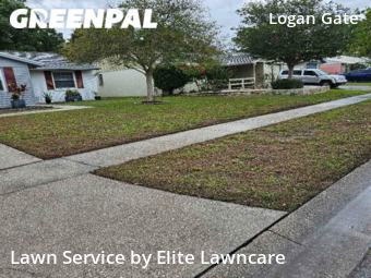 Lawn Cutting nearby Tampa, FL, 