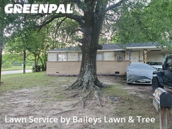 Grass Cutting nearby Tyler, TX, 