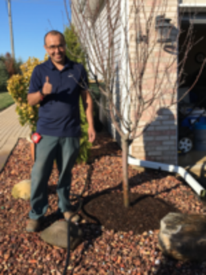grass-cutting-businesses-in-Elmwood Park-IL