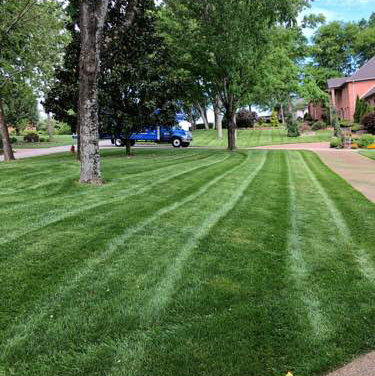 Yard mowing company in Cañon City, TN, 37115