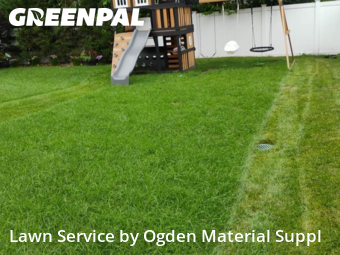 Lawn Mow nearby Elmhurst, IL, 