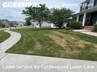 Lawn Maintenance nearby Chesapeake, VA, 