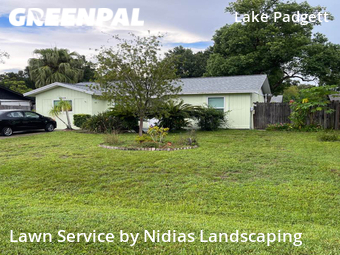 Grass Cut nearby Land O' Lakes, FL, 