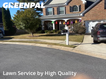 Weed Trimming in Peachtree City, 30269, Lawn Care by High Quality , work completed in Dec , 2025