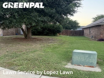 Grass Cutting nearby Mansfield, TX, 