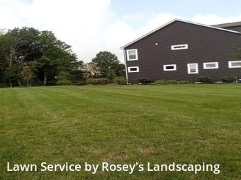 Grass Cutting nearby Delaware, OH, 