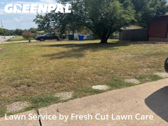 Lawn Mowing nearby Cedar Park, TX, 