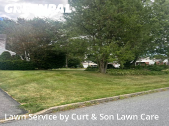 Yard Grooming in Bethlehem, 18020, Yard Care by Curt & Son Lawn Care, work completed in Nov , 2025