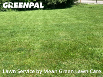 Lawn Cut nearby Raytown, MO, 