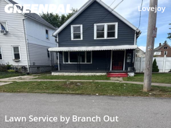 Lawn Mow nearby Buffalo, NY, 