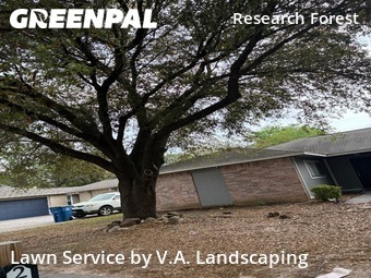 Lawn Care Service nearby Spring, TX, 