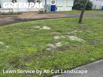Lawn Care Service nearby Pompano Beach, FL, 