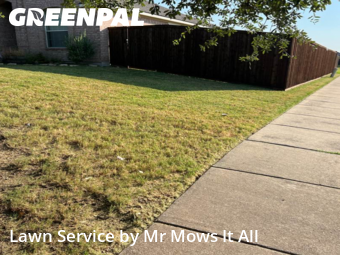 Lawn Services in Princeton, 75407, Lawn Mowing by Mr Mows It All, work completed in Aug , 2025