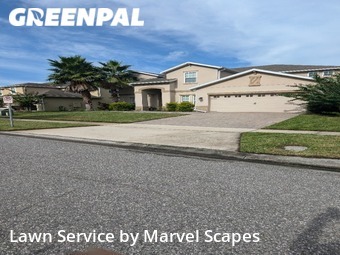 Yard Cutting nearby Orlando, FL, 