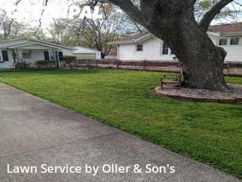 Lawn Mowing nearby Springfield, IL, 