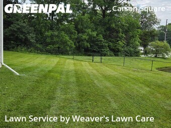 Grass Cutting nearby Indianapolis, IN, 