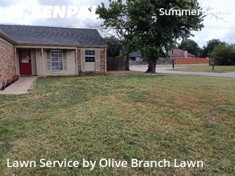 Grass Cutting nearby Fort Worth, TX, 