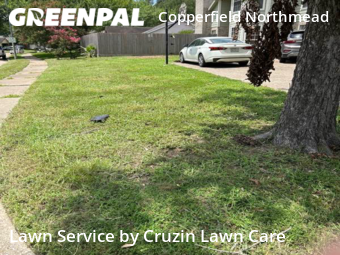 Lawn Care Service nearby Houston, TX, 