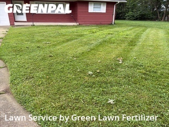Grass Cut nearby Springfield, MO, 