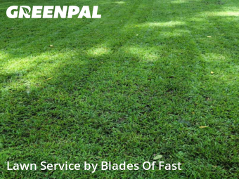 Lawn Care nearby East Point, GA, 