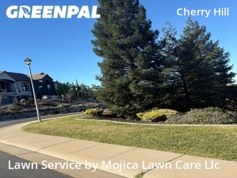 Work completed by lawn-care-services-in-Rocklin-CA