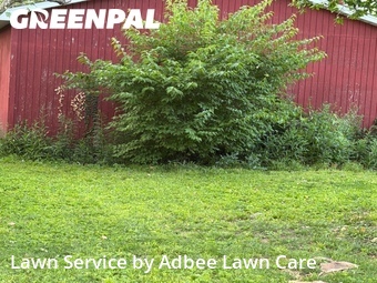 Lawn mowed in Urbana, 61801
