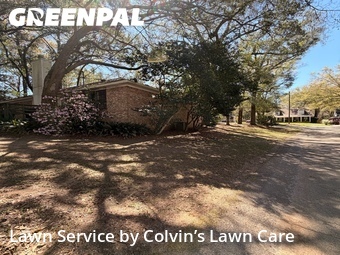 Grass Cut nearby Daphne, AL, 