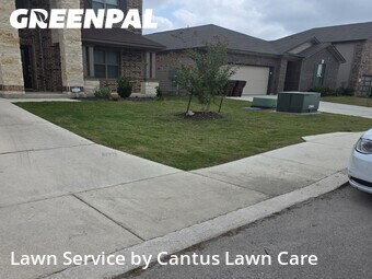 Lawn Cutting nearby San Antonio, TX, 