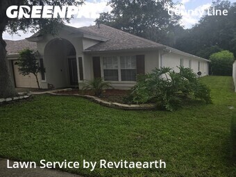 Backyard Landscaping In Tampa,33647,Landscaping Cleanup by Revita Earth, work completed in Jul , 2026
