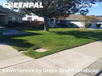 Work completed by residential-lawn-cutting-businesses-in-Stockton-CA