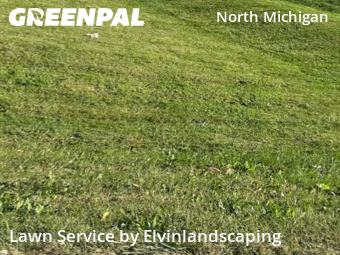 Grass Services in Bowie, 20715, Mowing Services by Elvinlandscaping, work completed in Nov , 2025