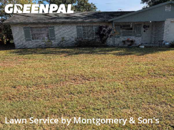 Lawn Maintenance nearby Lakeland, FL, 