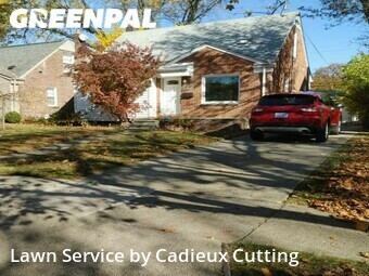 Grass Cutting nearby Royal Oak, MI, 