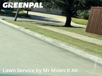 Yard Cutting in Princeton, 75407, Yard Services by Mr Mows It All, work completed in Nov , 2025