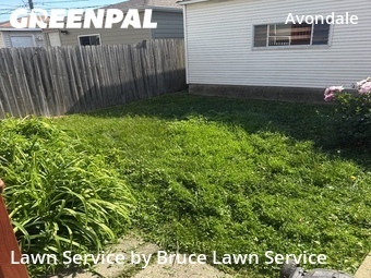 Lawn Cuttingin Chicago,60618,Lawn Mowing Service by Bruce Lawn Service, work completed in Jun , 2026