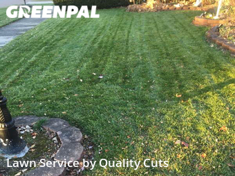 Lawn Maintenance nearby Troy, MI, 