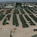 Cal-Coast Machinery, Inc. 3