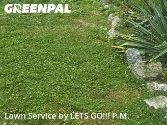 Lawn Maintenance nearby Marietta, PA, 