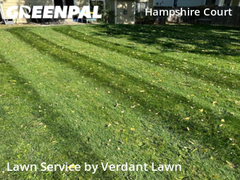 Yard Cutting nearby Fort Collins, CO, 