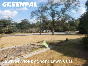 Yard Mowing nearby Thomaston, GA, 