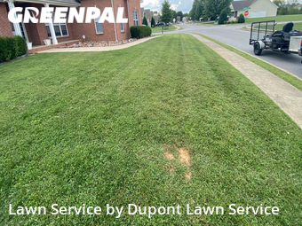 Lawn Cut nearby Clarksville, TN, 