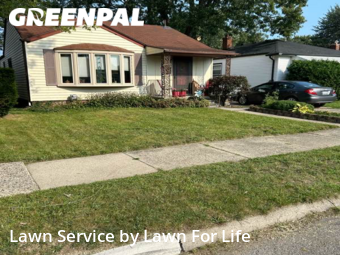 Grass Cutting nearby Roseville, MI, 