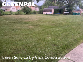 Lawn Mowing Service nearby Joliet, IL, 