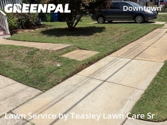 Grass Cutting nearby Raleigh, NC, 