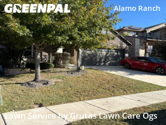 Lawn Cut nearby San Antonio, TX, 