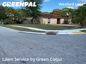 Grass Cut nearby Palm Harbor, FL, 