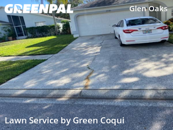 Grass Cut nearby Tampa, FL, 