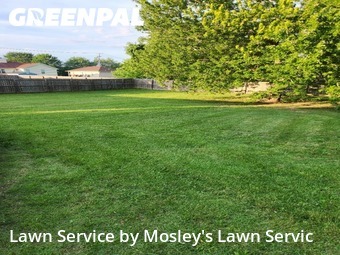 Grass Cutting nearby Clarksville, TN, 